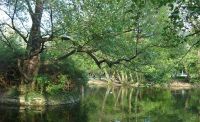 images/tapolca001.jpg