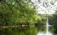 images/tapolca003.jpg